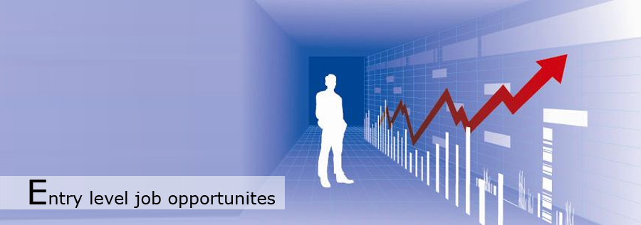 Entryleveljobopportunites