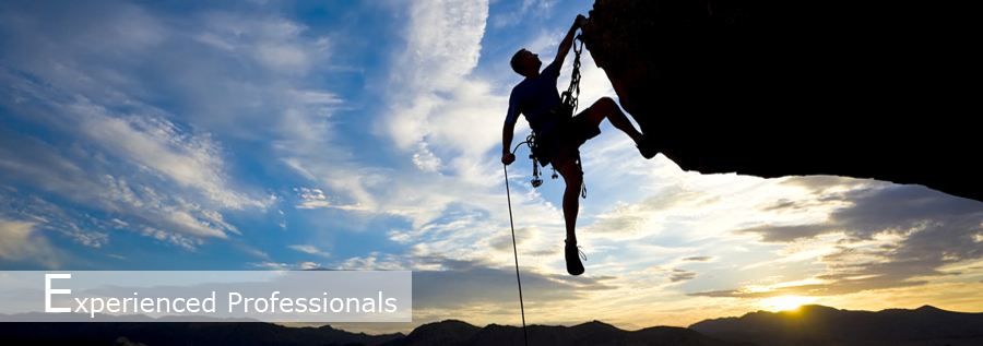 Experiencedprofessionals